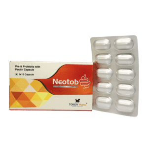neotob strip